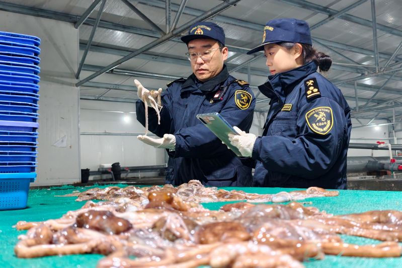 黃島海關(guān)查獲有害元素超標(biāo)銅精礦 2630.67噸（圖）