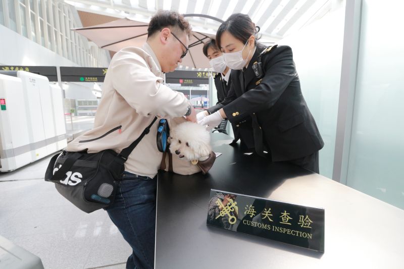 守護國門安全從我做起（圖）